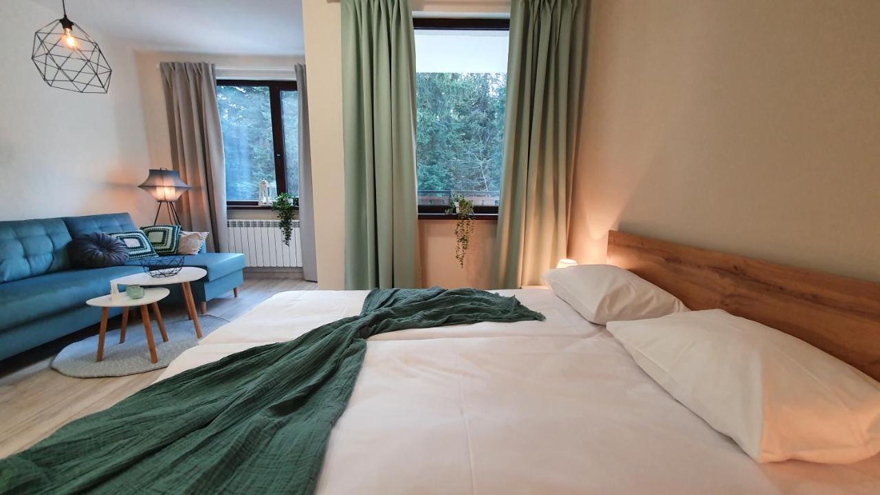 Borovets Holiday Homes Dış mekan fotoğraf